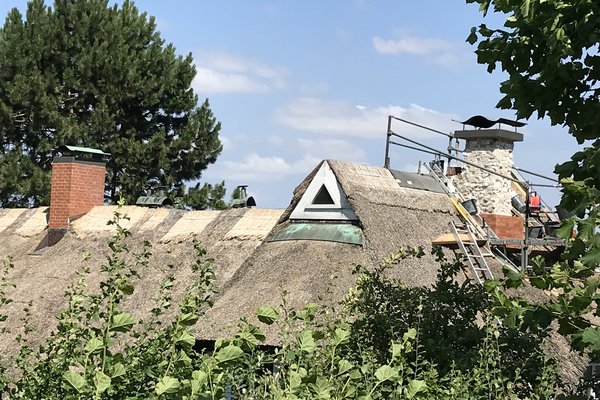 Reetgedecktes Dach mit Dachfenster und Schornstein, umgeben von Bäumen und Baustellenzubehör.